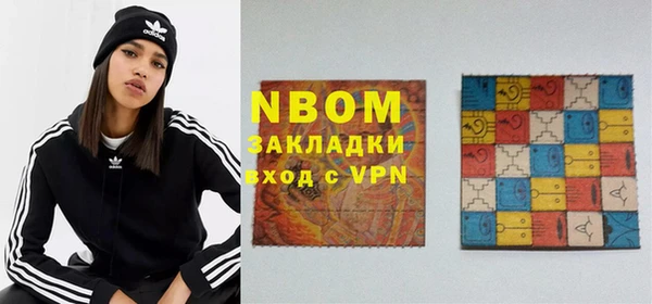 прущие грибы Иннополис