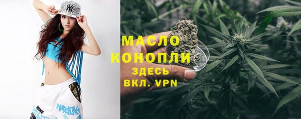 молекула духа Инта