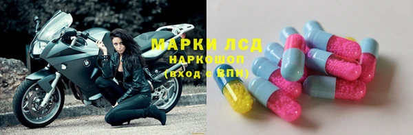 прущие грибы Иннополис