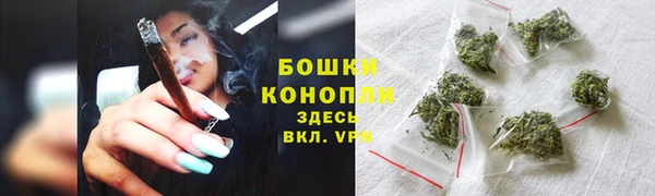 прущие грибы Иннополис