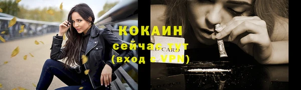 молекула духа Инта