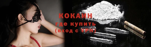 прущие грибы Иннополис