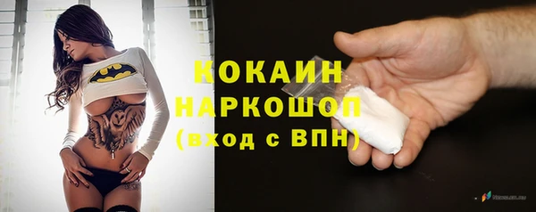 прущие грибы Иннополис