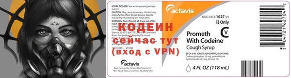 прущие грибы Иннополис