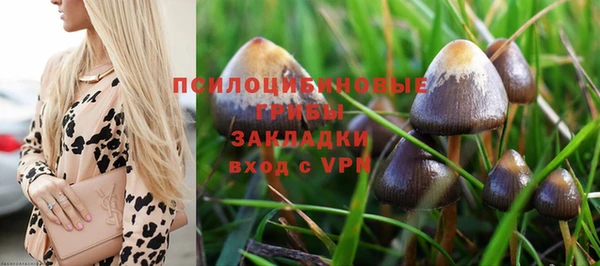 стаф Карпинск