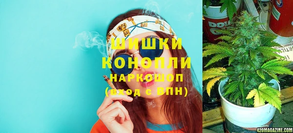 прущие грибы Иннополис