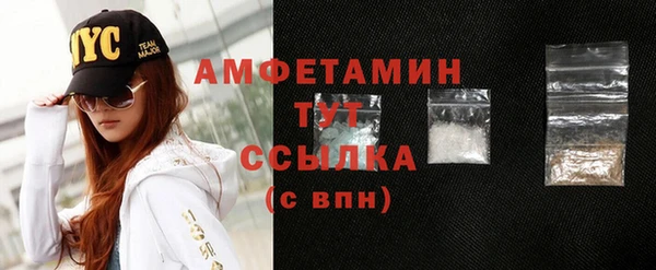прущие грибы Иннополис