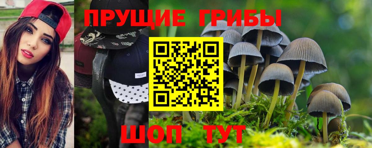 Псилоцибиновые грибы Magic Shrooms  где купить   Краснокамск  Вход с VPN 